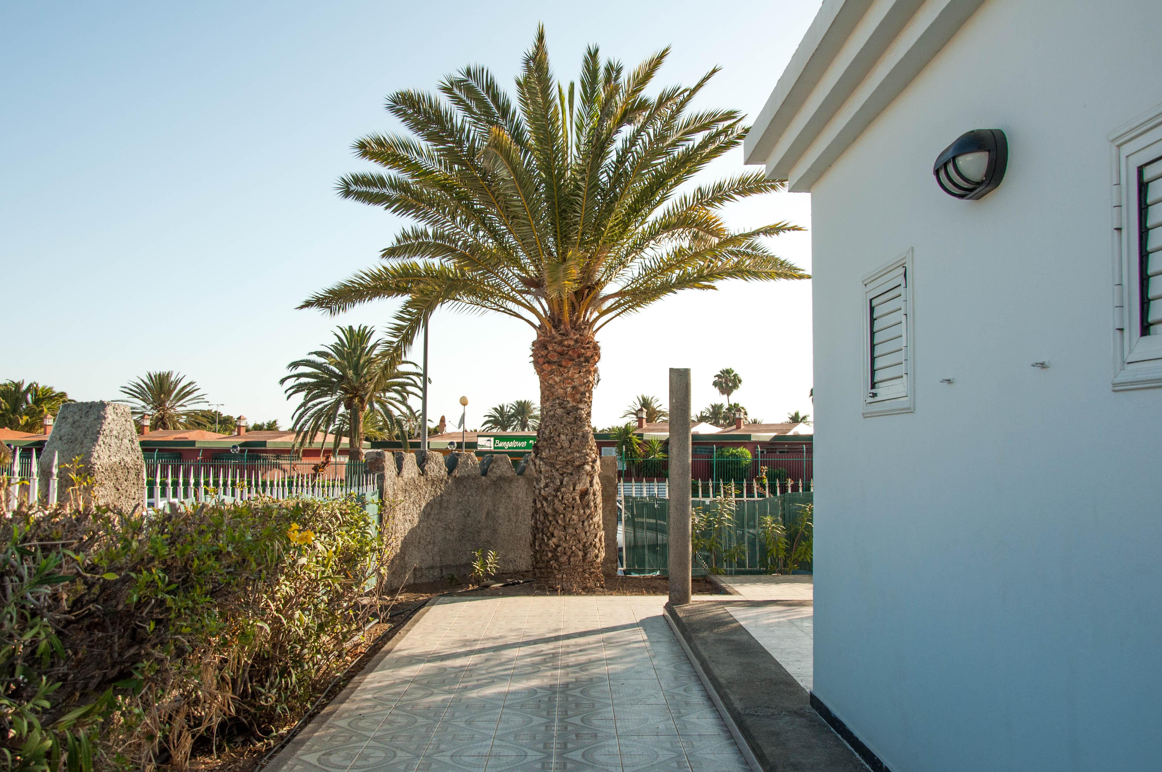 Bungalows Las Almenas Maspalomas  Exterior photo