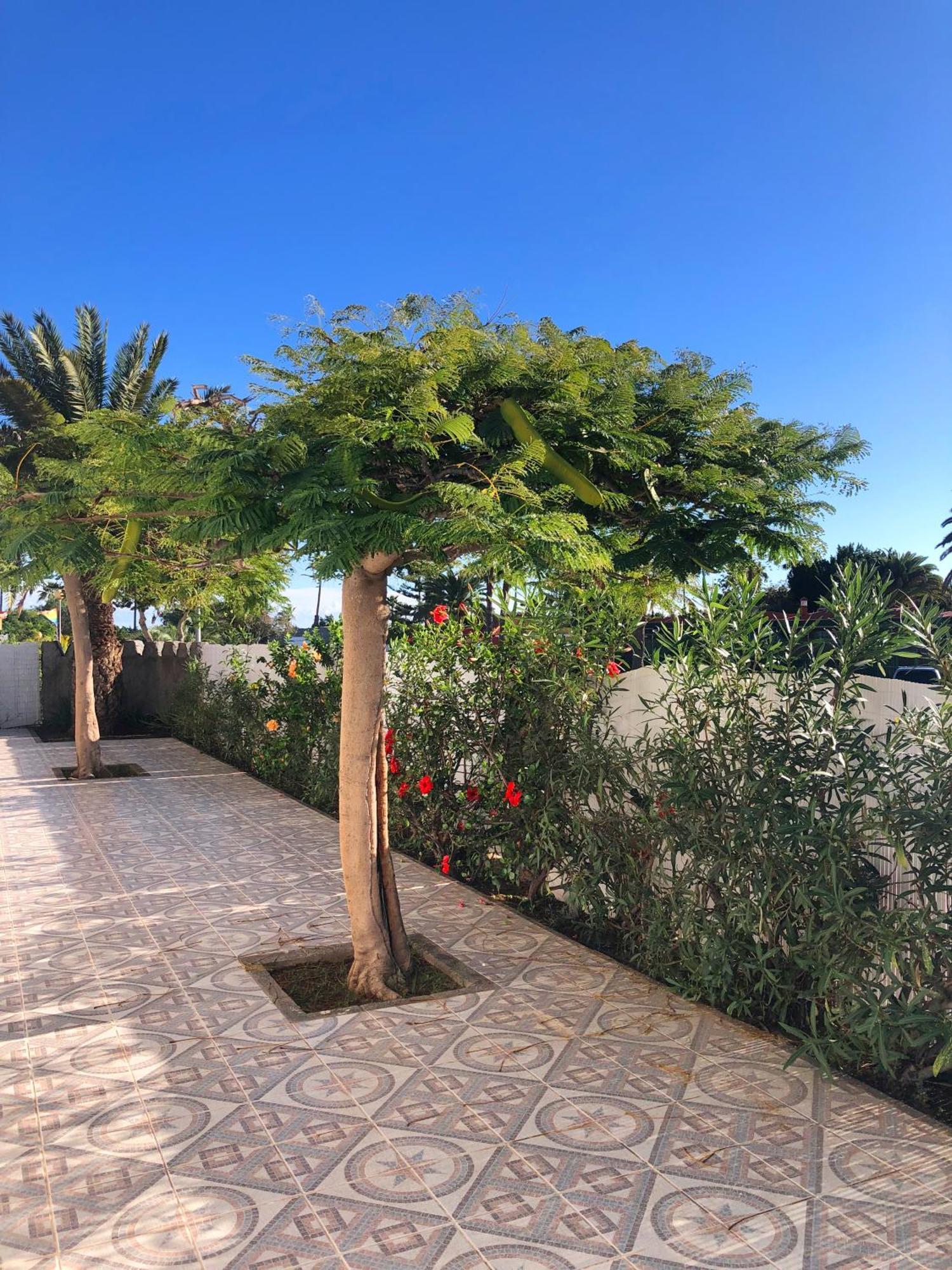 Bungalows Las Almenas Maspalomas  Exterior photo
