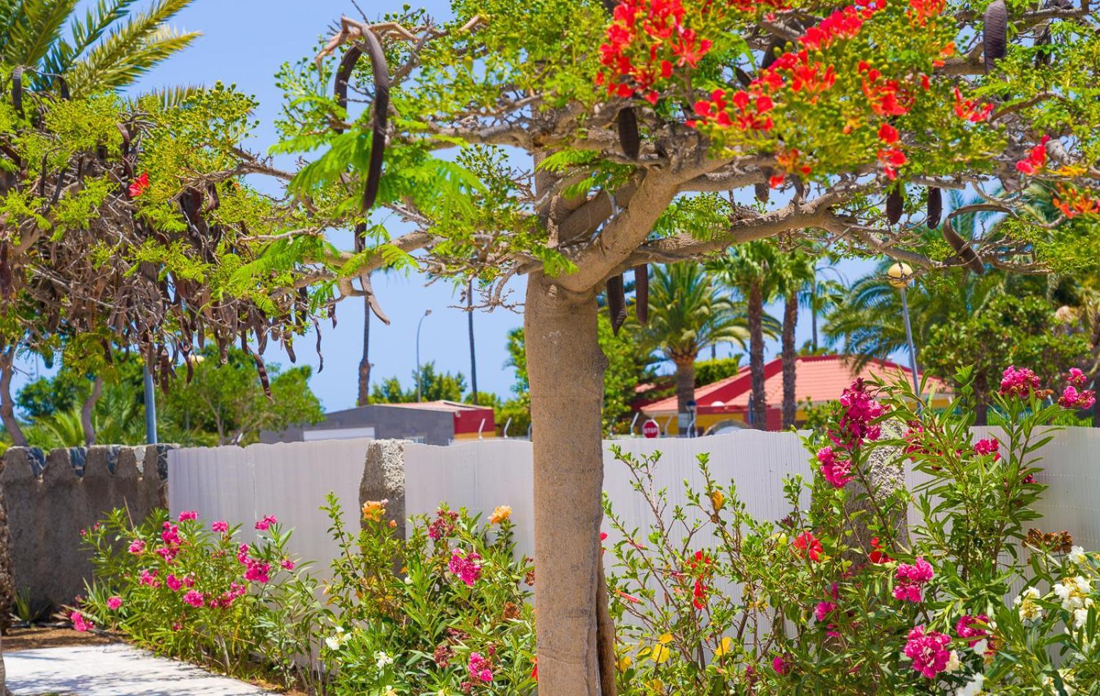 Bungalows Las Almenas Maspalomas  Exterior photo